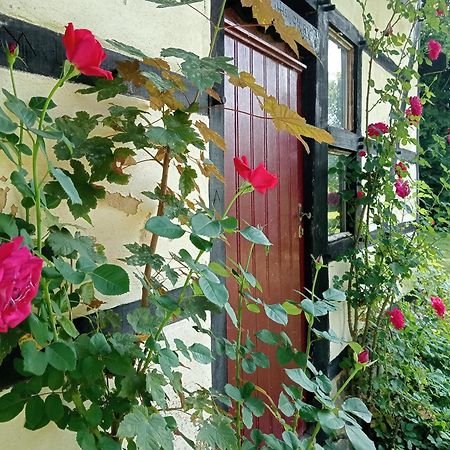 Bnb Het Geluk Van Limburg Μεσελέν Εξωτερικό φωτογραφία