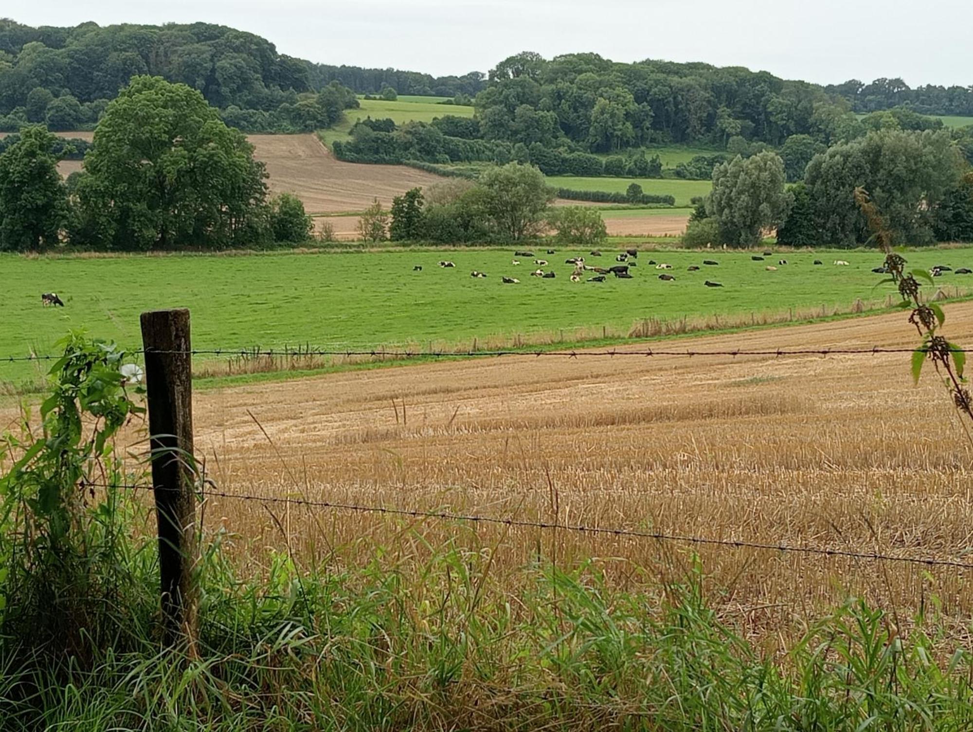 Bnb Het Geluk Van Limburg Μεσελέν Εξωτερικό φωτογραφία