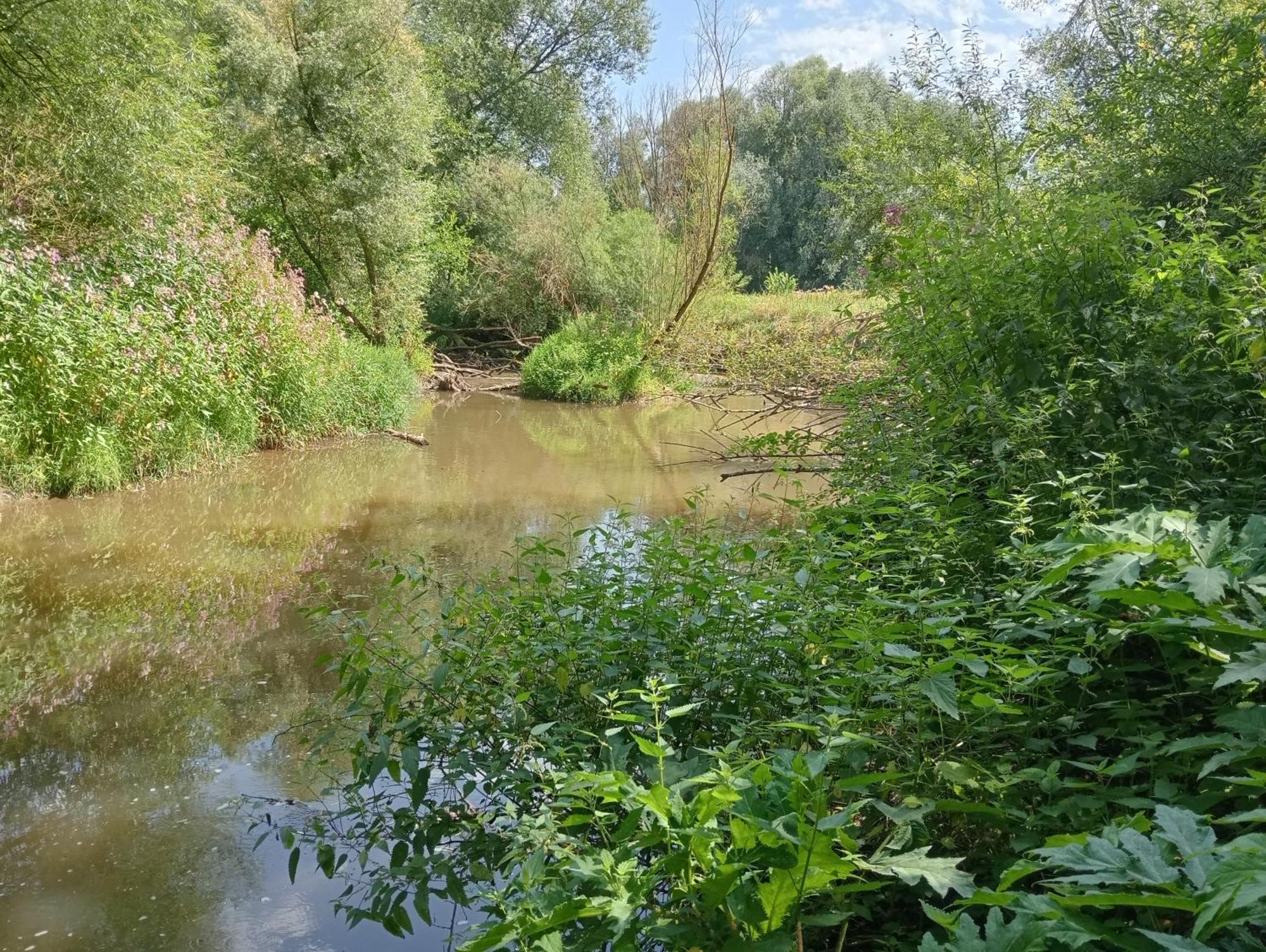 Bnb Het Geluk Van Limburg Μεσελέν Εξωτερικό φωτογραφία