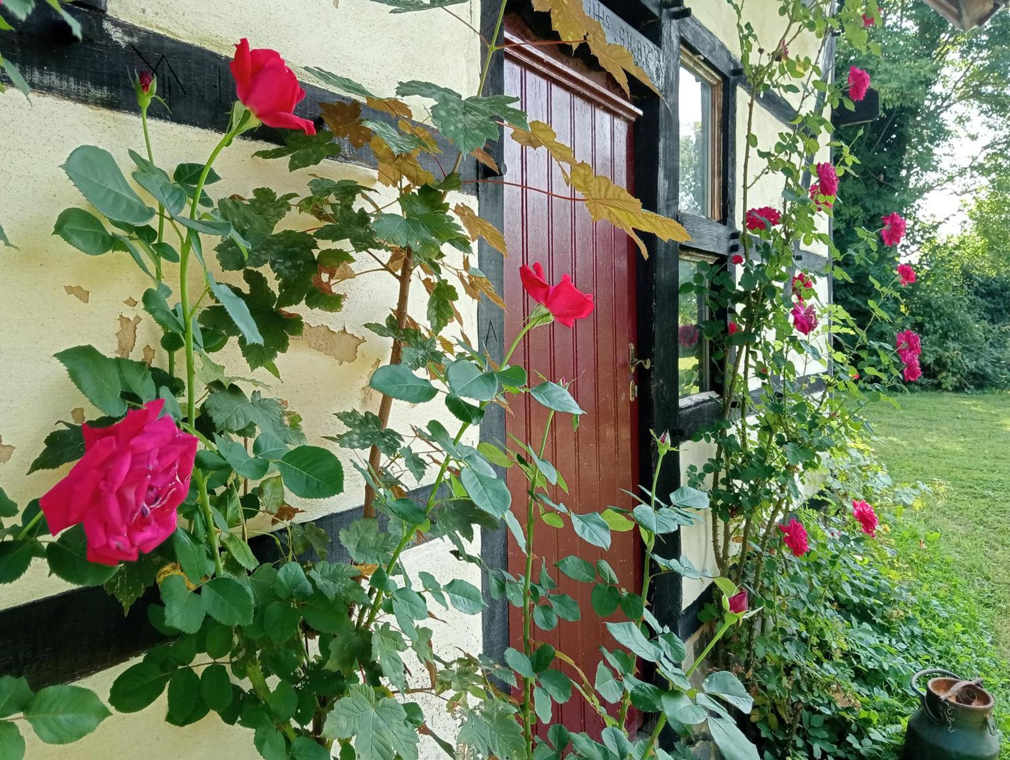 Bnb Het Geluk Van Limburg Μεσελέν Εξωτερικό φωτογραφία